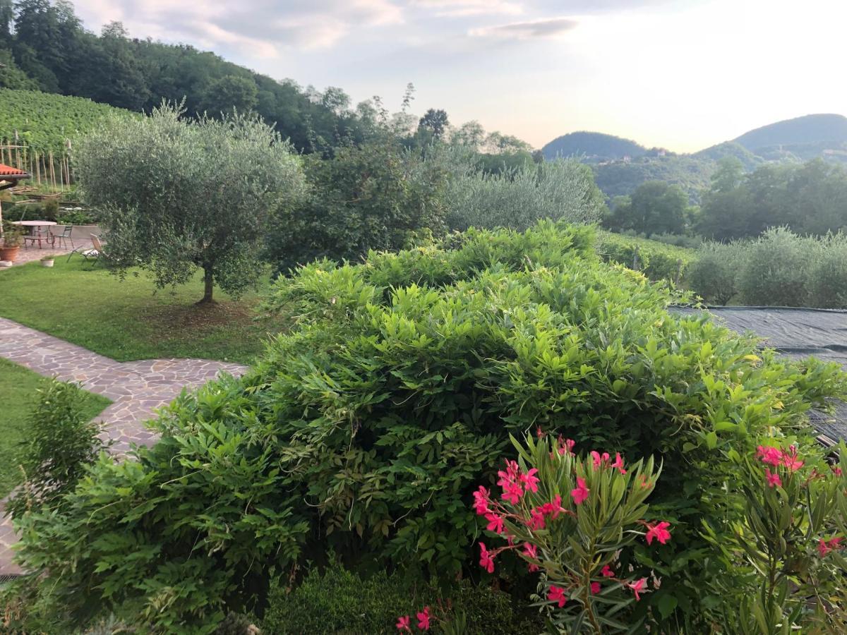 Agriturismo Terre Bianche Apartment Teolo ภายนอก รูปภาพ